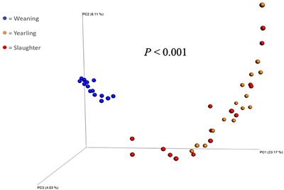 Evaluation of the Fecal Bacterial Communities of Angus Steers With Divergent Feed Efficiencies Across the Lifespan From Weaning to Slaughter